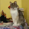 Отзыв от Яна Рубцова